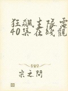 狂飙支队电视剧40集在线观看免费