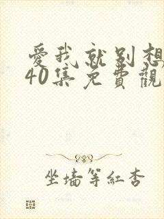 爱我就别想太多40集免费观看封面