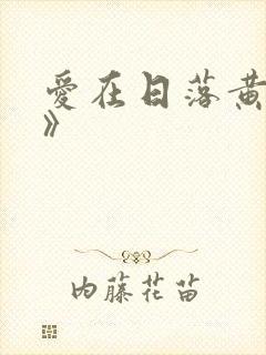 爱在日落黄昏时》封面