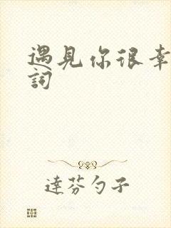 遇见你很幸运歌词封面