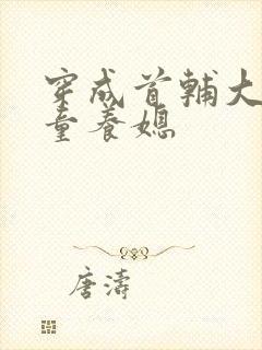 穿成首辅大人的童养媳