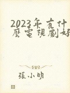 2023年有什么电视剧好看