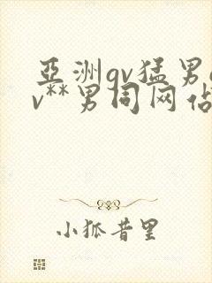 亚洲gv猛男gv**男同网站