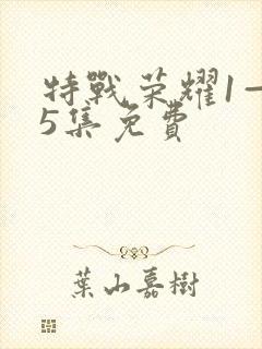 特战荣耀1—45集免费