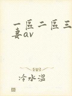 一区二区三区人妻av
