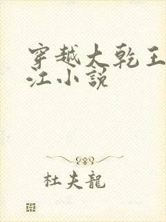 穿越大乾王朝王江小说