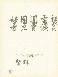 好团圆电视剧观看免费演员表封面