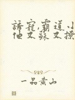 诱宠,霸道小叔他又苏又撩