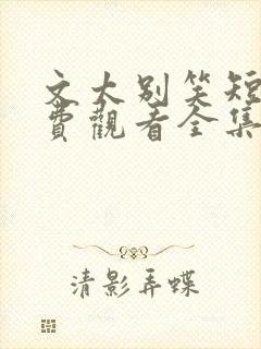 文太别笑短剧免费观看全集播放封面