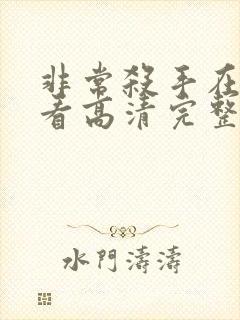 非常杀手在线观看高清完整版免费