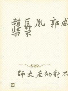 赵匡胤 郭威 柴荣