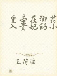 皇帝在御花园进入贵妃的小说封面