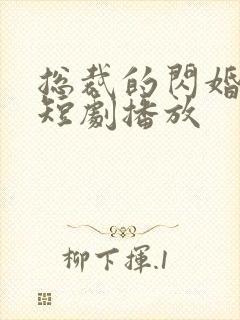 总裁的闪婚甜妻短剧播放