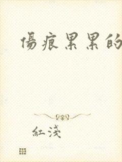 伤痕累累的勋章封面