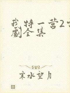 我特一营2电视剧全集封面