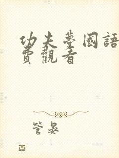 功夫梦国语版免费观看