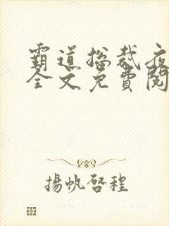 霸道总裁夜夜宠全文免费阅读