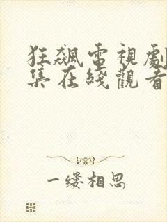 狂飙电视剧40集在线观看免费星空