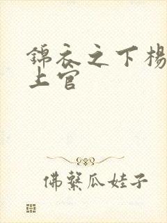 锦衣之下杨岳和上官