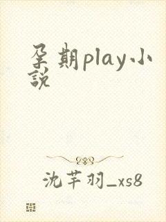 孕期play小说封面