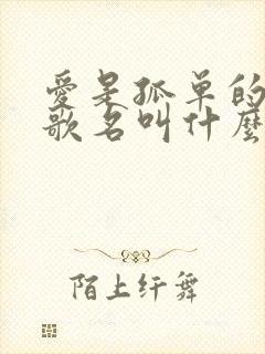 爱是孤单的心事歌名叫什么歌