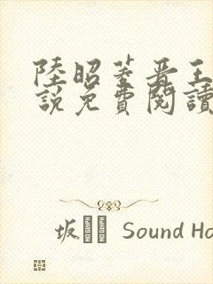 陆昭菱晋王的小说免费阅读