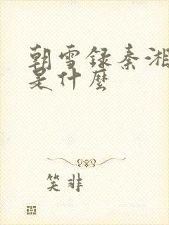 朝雪录秦湘结局是什么封面