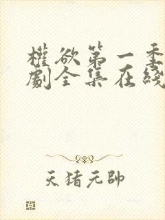 权欲第一季电视剧全集在线观看免费