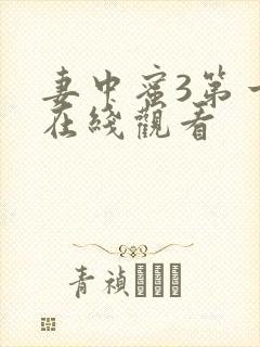 妻中蜜3第一集在线观看