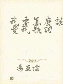 我要怎么说你才爱我歌词