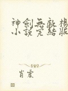 神剑无敌杨小天小说完结版