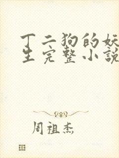 丁二狗的妖孽人生完整小说txt