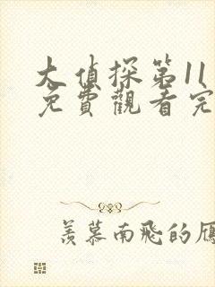 大侦探第11季免费观看完整版高清