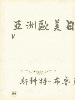 亚洲欧美日韩αv封面