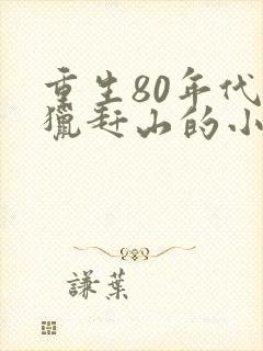 重生80年代打猎赶山的小说