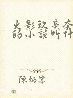 火影玖辛奈堕落的小说叫什么