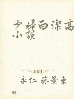 少妇白洁高义 小说