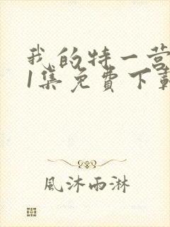 我的特一营第41集免费下载