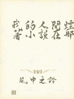 我的人间烟火原著小说在哪里可以看