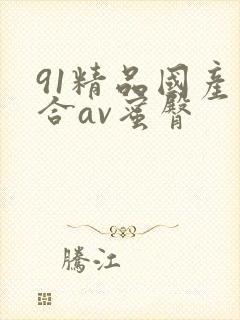 91精品国产综合av蜜臀