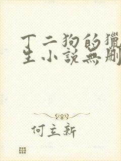 丁二狗的猎艳人生小说无删减下载封面