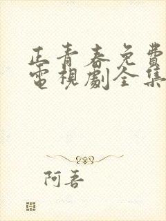 正青春免费观看电视剧全集