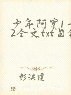 少年阿宾1一72全文txt目录