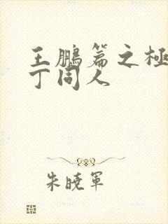 王鹏篇之极品家丁同人