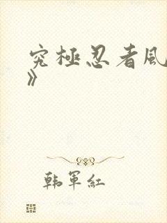 究极忍者风暴4》封面