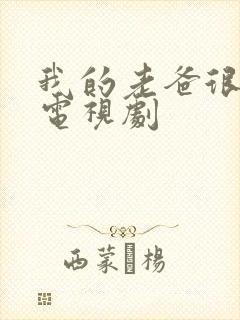 我的老爸很奇葩电视剧