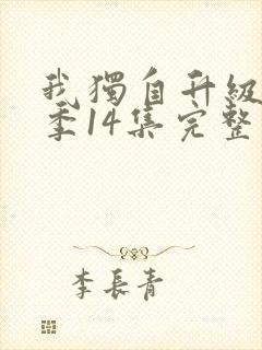 我独自升级第二季14集完整版封面