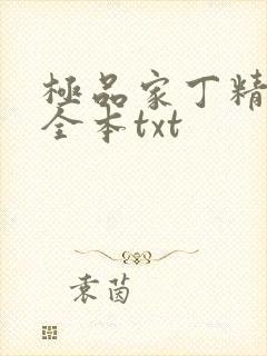 极品家丁精校版全本txt