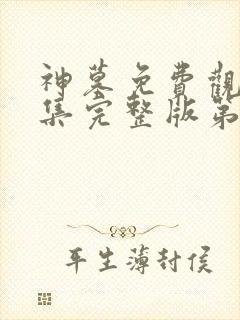 神墓免费观看全集完整版第二季