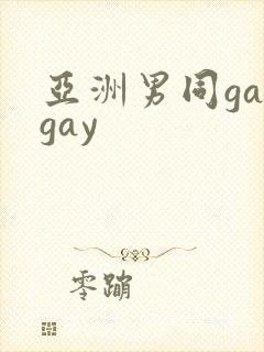 亚洲男同gaygay